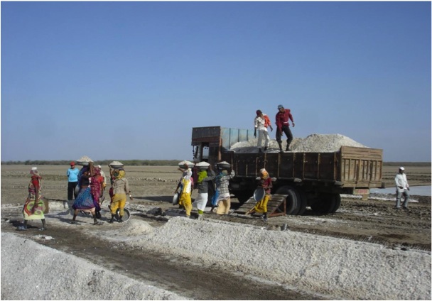 India: Salt Workers Economic Empowerment Program