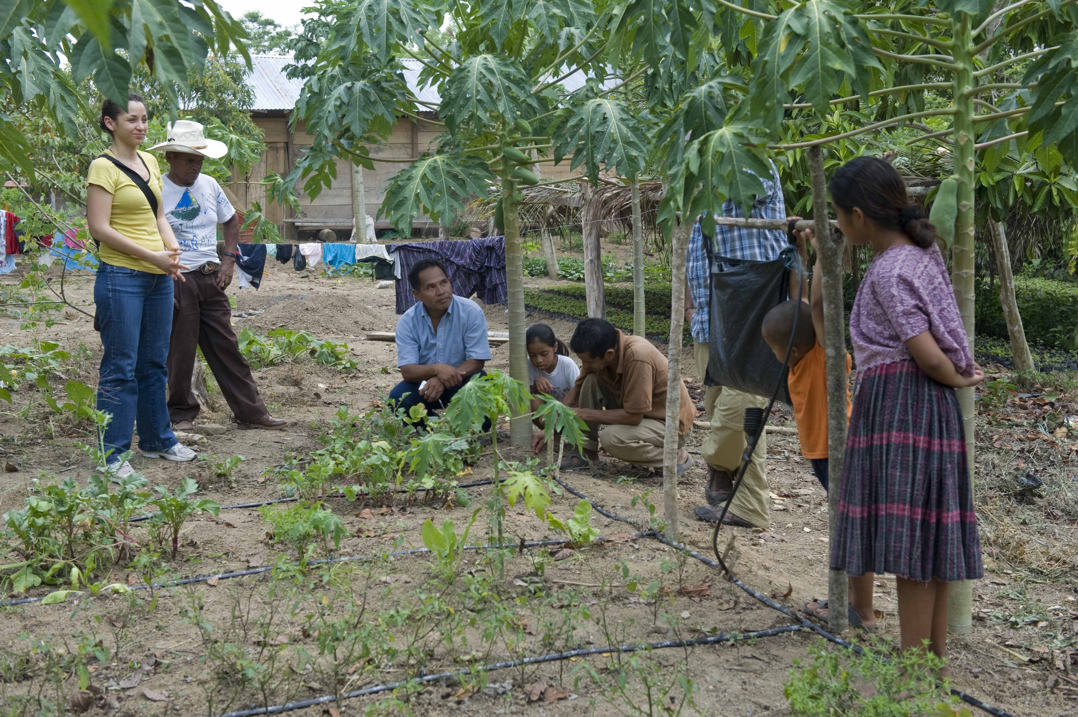 Guatemala: Sololá Agro-Industry Initiative