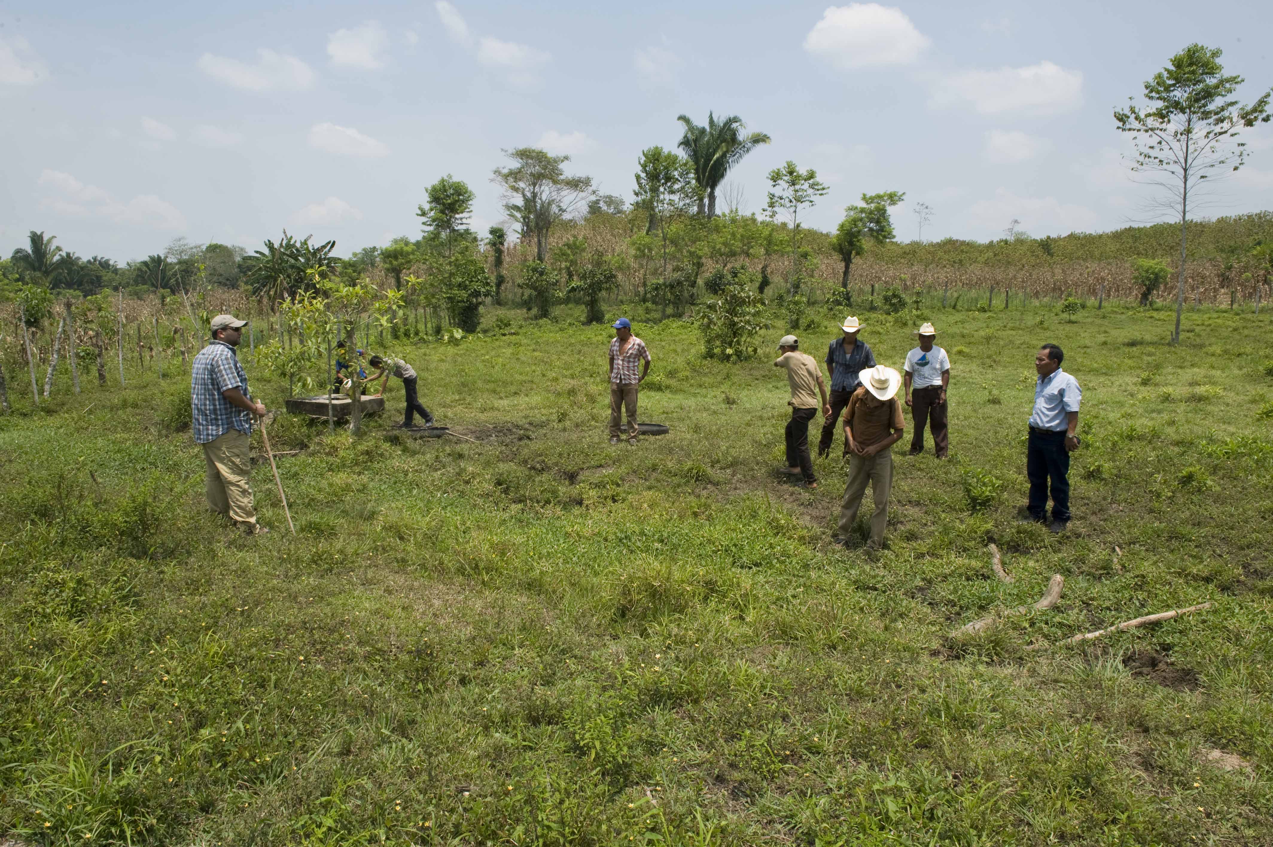 Guatemala: Verapaz Action for Sustainable Agro-Industry