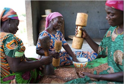 Ghana: Building Inclusive Shea Economies