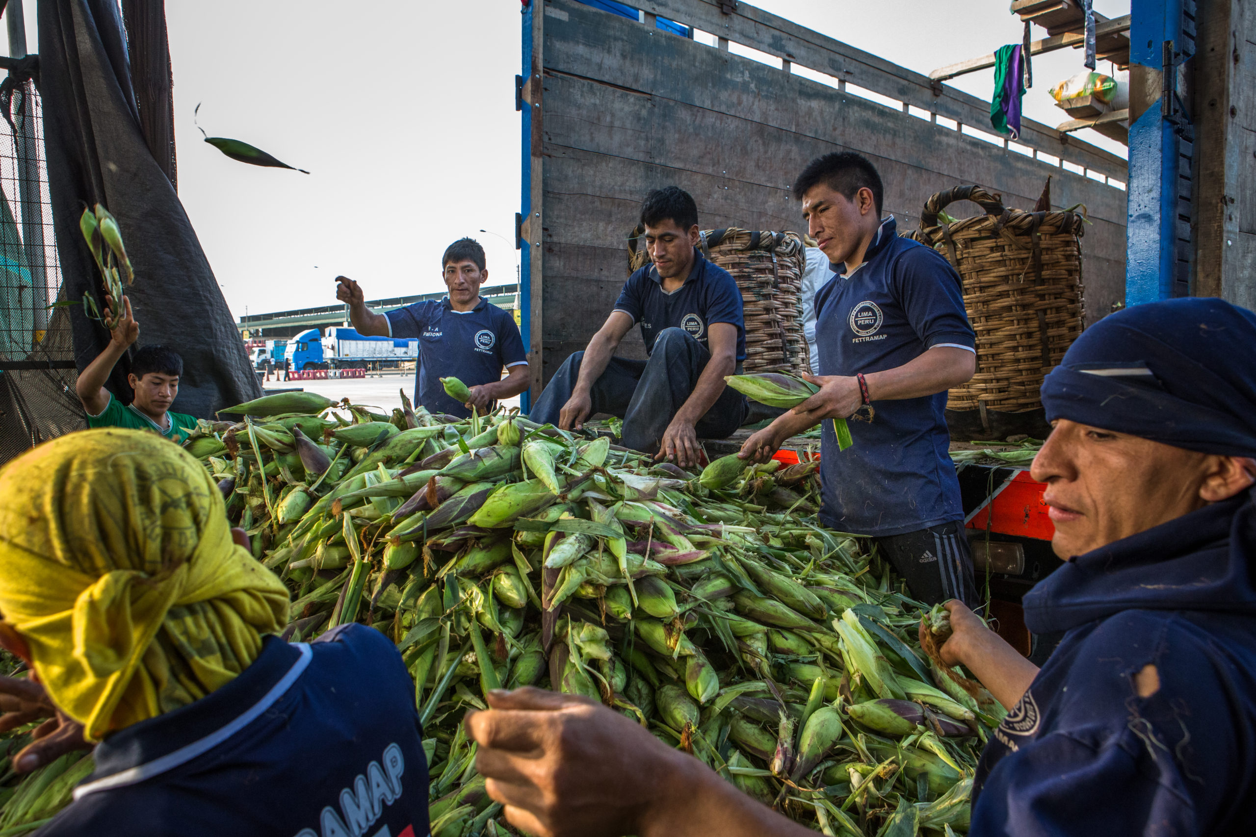 Peru: Recyclers Leadership Initiative